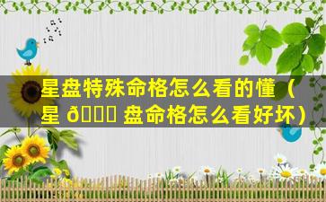 星盘特殊命格怎么看的懂（星 🐝 盘命格怎么看好坏）